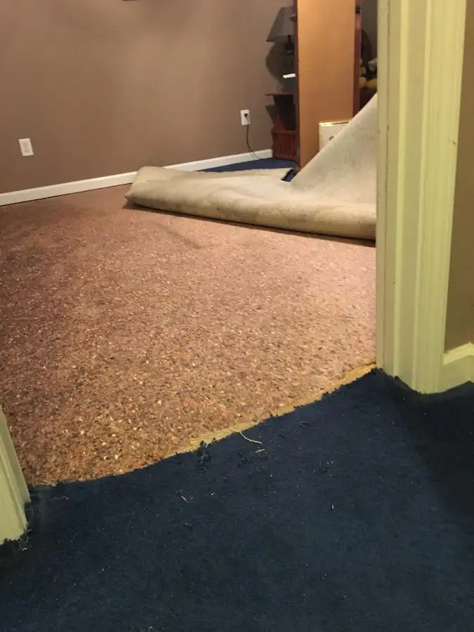 Carpet pad removal revealing water damage during Water Mitigation Services in Lyndon