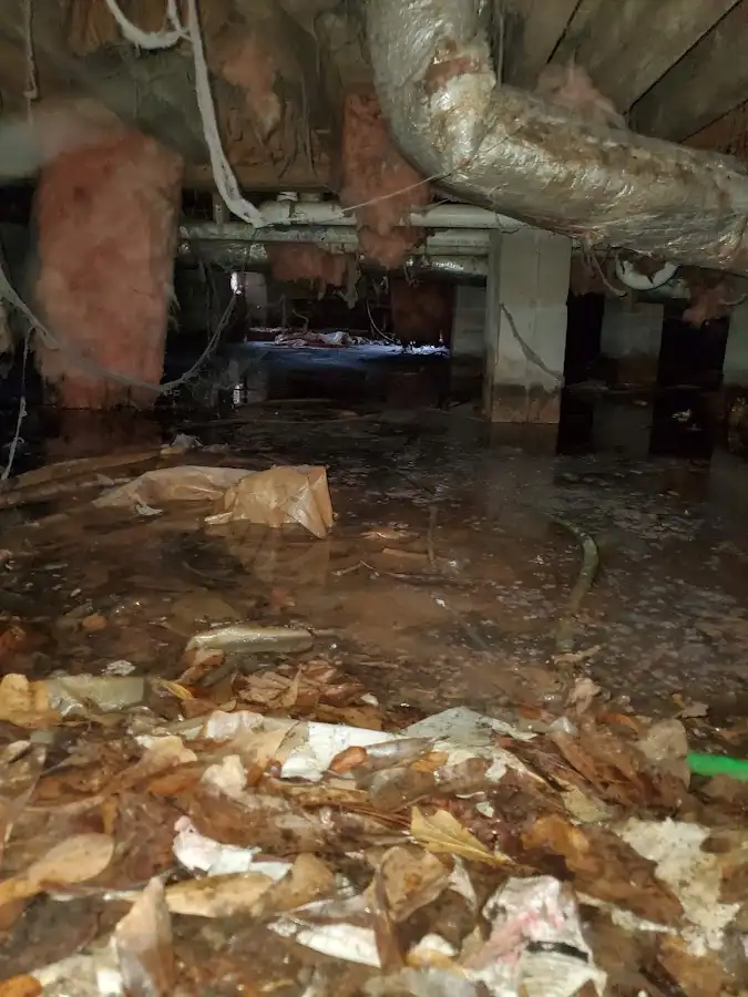 Crawl space flood assessment for Commercial Water Damage Restoration in Lyndon